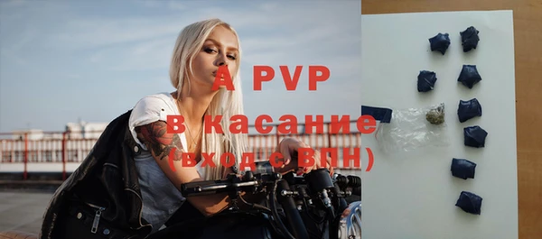 крисы Кодинск
