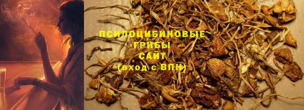 крисы Касимов